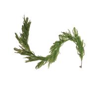 Couronnes de Noël - Guirlande Couronne Décorative pour Fêtes - Décorations Végétales Festives Guirlande Imperméable pour Porche Thanksgiving Maison Hiver Cheminée Automne