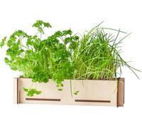 Courrier aux herbes - graines de persil & ciboulette avec plateau de culture en bois - jardin d'herbes aromatiques DIY pour rebord de fenêtre - idée cadeau boîte aux lettres