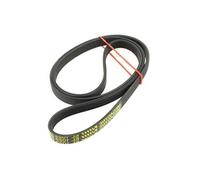 Courroie 1023h7 pour Lave-linge Bluesky