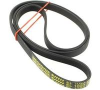 Courroie 1023h7 pour Lave-linge Bluesky Autre G