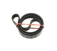 Courroie 1061h8 pour Lave-linge Indesit