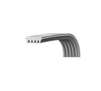 Courroie 1151H7 00126366 pour Lave linge AYA, BRANDT, PROLINE, SABA, THOMSON