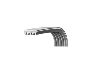 Courroie 1151H7 00126366 pour Lave linge AYA, BRANDT, PROLINE, SABA, THOMSON