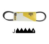 Courroie 1161 J5 poly V extensible pour lave linge Indesit G