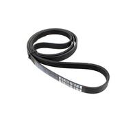 Courroie 1163j5 malice2, 52x5974 xz4t00008 - lave-linge