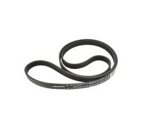 Courroie 1171j5 2907260500 - lave-linge