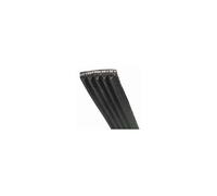 Courroie 1175J5 MAEL Lave-linge 96X2024, FAGOR, VEDETTE, DE DIETRICH, THOMSON, SANGIORGIO, CAPLE, CDA, CRYSTAL - 301465