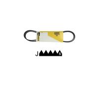 D319079. COURROIE 1196 J5 MAEL ELECTROLUX