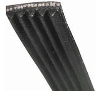 COURROIE 1197 J5 MAEL pour LAVE LINGE WHIRLPOOL - 481281718147