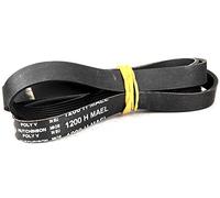 COURROIE 1200 H8 HUTCHINSON 1130mm NOIR