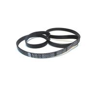 Courroie 1200H8 46007433 pour Lave linge CANDY, HOOVER, IBERNA