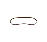 Courroie 1200J6 1200J5 Lave-linge 1240210102 ARTHUR MARTIN, AEG, ELECTROLUX, FAURE, ARTHUR MARTIN, ZANUSSI, ZANKER - 53642
