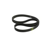 Courroie 1201J5 0020300503 pour Lave linge AYA, FAR, HAIER