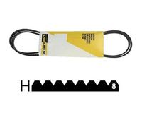 Courroie 1204 H8 Polyv pour LAVE LINGE