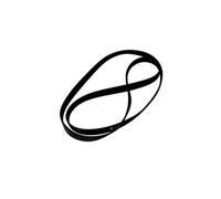 Courroie 1204H8 Lave-linge 481235818167 WHIRLPOOL,, IGNIS, BAUKNECHT - 53611