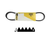 80001704. COURROIE 1210 J5 POLY-V CANDY