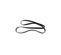 Courroie 1213 H8 Lave-linge C00083910, ARISTON HOTPOINT, WHIRLPOOL - 93149