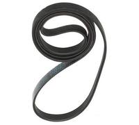 Courroie 1225J5 pour Lave-linge CANDY, HOOVER, ROSIERES