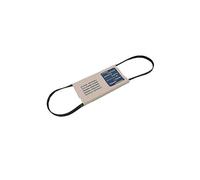Courroie 1231H Poly V (224834-22121) Lave-linge 41003164, HOOVER, OSTEIN, OTSEIN - 224834_3662894176048