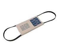 Courroie 1231H Poly V Lave-linge 41003164 CANDY, HOOVER, OSTEIN, OTSEIN - 224834 G