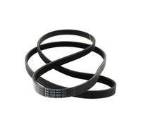 Courroie 1233j5 = 5pj1233 pour Lave-linge Candy