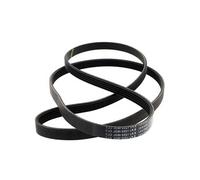 Courroie 1233j5 = 5pj1233 pour Lave-linge Candy
