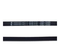 Courroie 1236J4 remplace la 1242J5 ODALYS (47968-17371) Lave-linge 481235818158 WHIRLPOOL