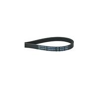 Courroie 1244J4 2845710100 pour , 726595, LAVE LINGE COMPACT ESSENTIELB ELF714-2B, LAVE LINGE HUBLOT ESSENTIELB ELF 1014D1, LAVE LINGE HUBLOT