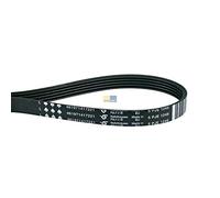 Courroie 1249 PJ 5 E 48011101441 Bauknecht, Whirlpool, Ikea, Fagor