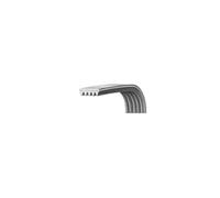 Courroie 1250J5 481235818056 pour Lave linge BAUKNECHT, IGNIS, LADEN, RADIOLA, W