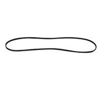 COURROIE 1276J4 ELASTIQUE G