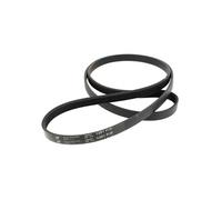 Courroie 1281j5 = 5pje1281, as0033204 - lave-linge
