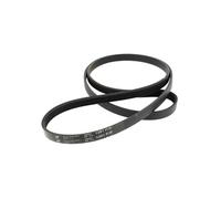 Courroie 1281j5 = 5pje1281, as0033204 - lave-linge
