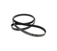 Courroie 1281j5 = 5pje1281, as0033204 pour Lave-linge Brandt