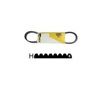 Courroie 1287 H8 Poly V Mael Pour Lave Linge - 590359