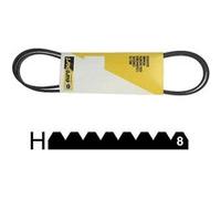 Courroie 1287 H8 Poly V Mael Pour Lave Linge Faure - 590359 G