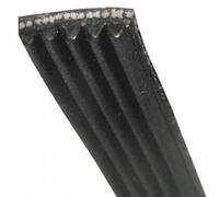 COURROIE 1309 J5 POLY-V pour LAVE LINGE FAGOR - 55X5661