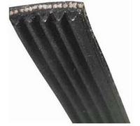 Courroie 1317j4 mael ll pour lave-linge 2810980100