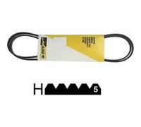 Courroie 1884 H5 Poly V Pour Seche Linge Faure - 125502810 G