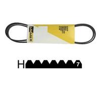 Courroie 1904 H7 Mael Pour Seche Linge Markling - 416001600 G