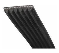 09201044. COURROIE 1930 H6 MAEL CANDY