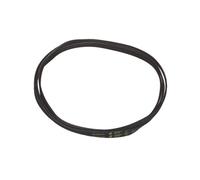 Courroie 1936 H6 Poly V