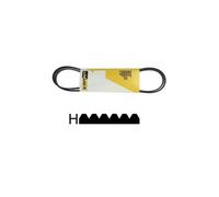 Brandt. Courroie 1951 H6 Poly V. Ref: 9615214