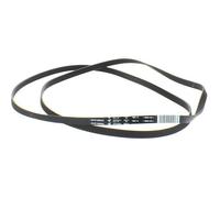Courroie 1951H7 pour Lave-linge et Sèche-linge