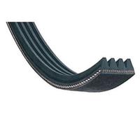 Courroie 1966h9 El Optibelt Pour Seche Linge - Blh773un