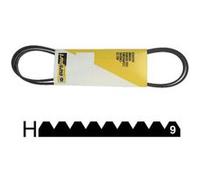 COURROIE 1967 H9 POLY V MAEL G