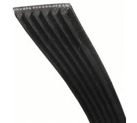 Courroie 1975 H5 Poly V