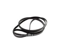 Courroie 1975H7 125828822/2 pour Sèche linge AEG, ARTHUR MARTIN,, FAURE, ZANUSSI