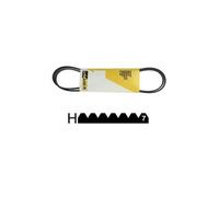 Courroie 1992 H7 Poly-v Mael Ref: 284697