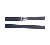Courroie 6PH1965 for machine à laver ou sèche-linge 1965 mm 6ph/6ph1965/1965h6/481235818186